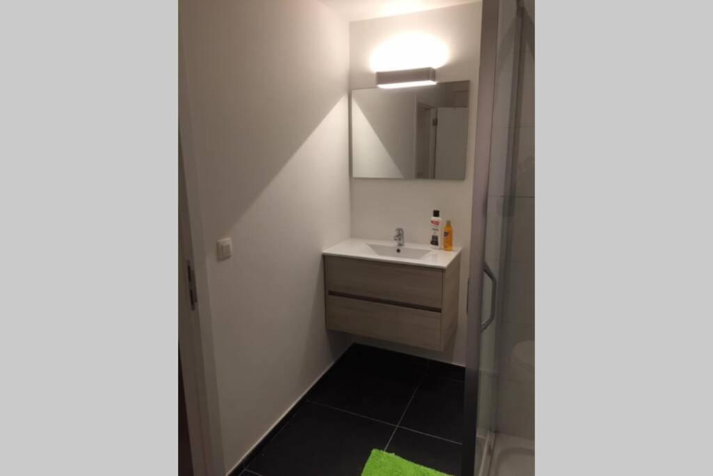 Appartement Duplex Pour 3-4 Personnes A Ciney Kültér fotó